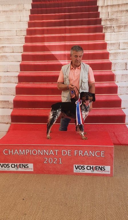 De la plaine marat - Tr.Orki de la Plaine Marat obtient un CACS au Championnat de France 