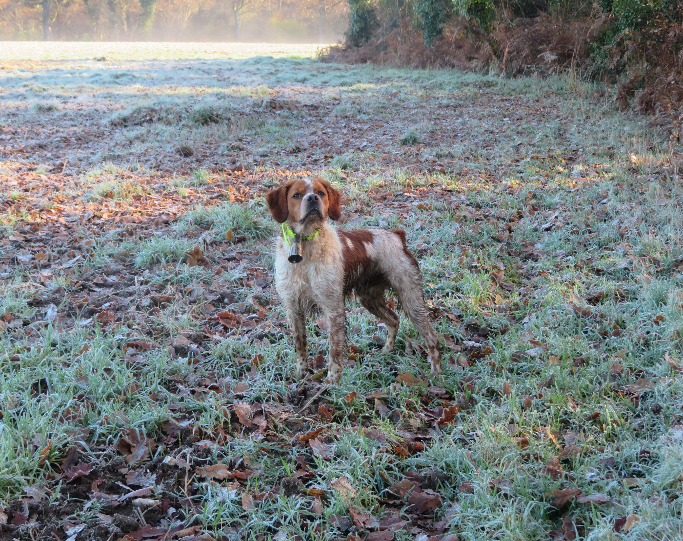 Vulcain De la plaine marat