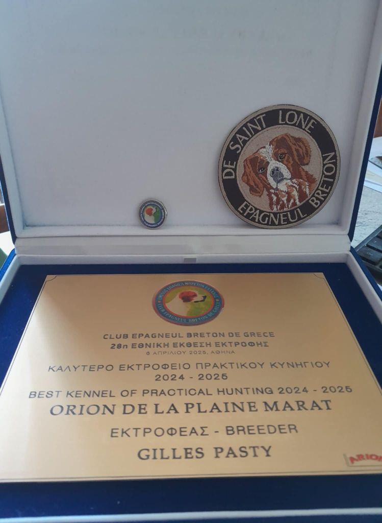 De la plaine marat - Orion de la Plaine Marat
