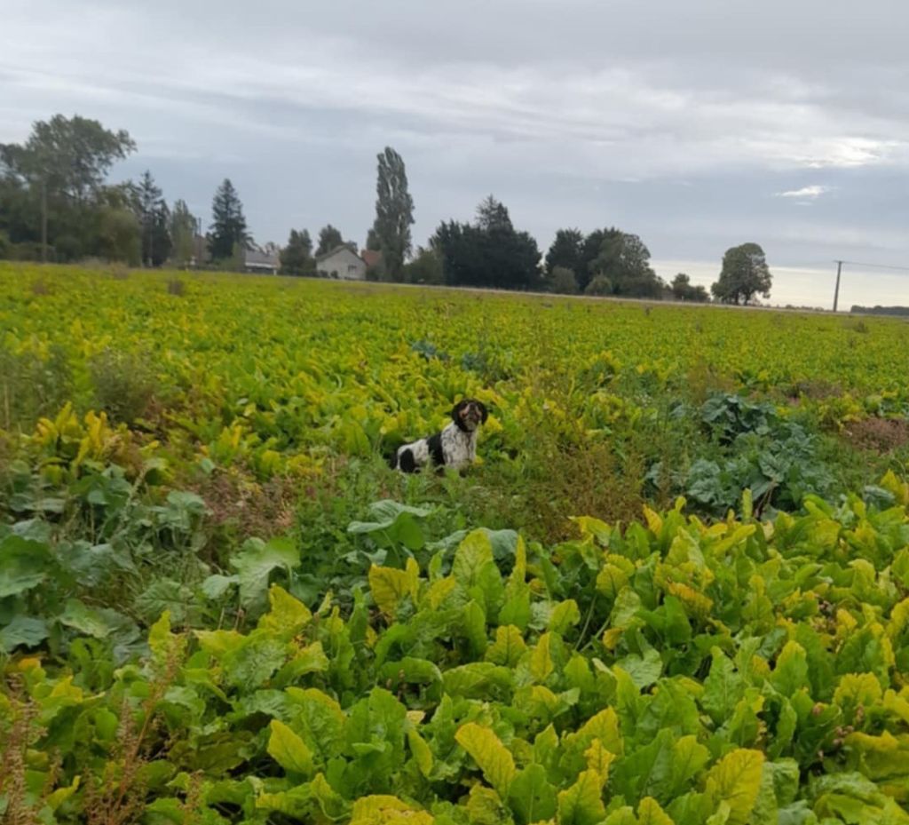 Urok de la Plaine Marat