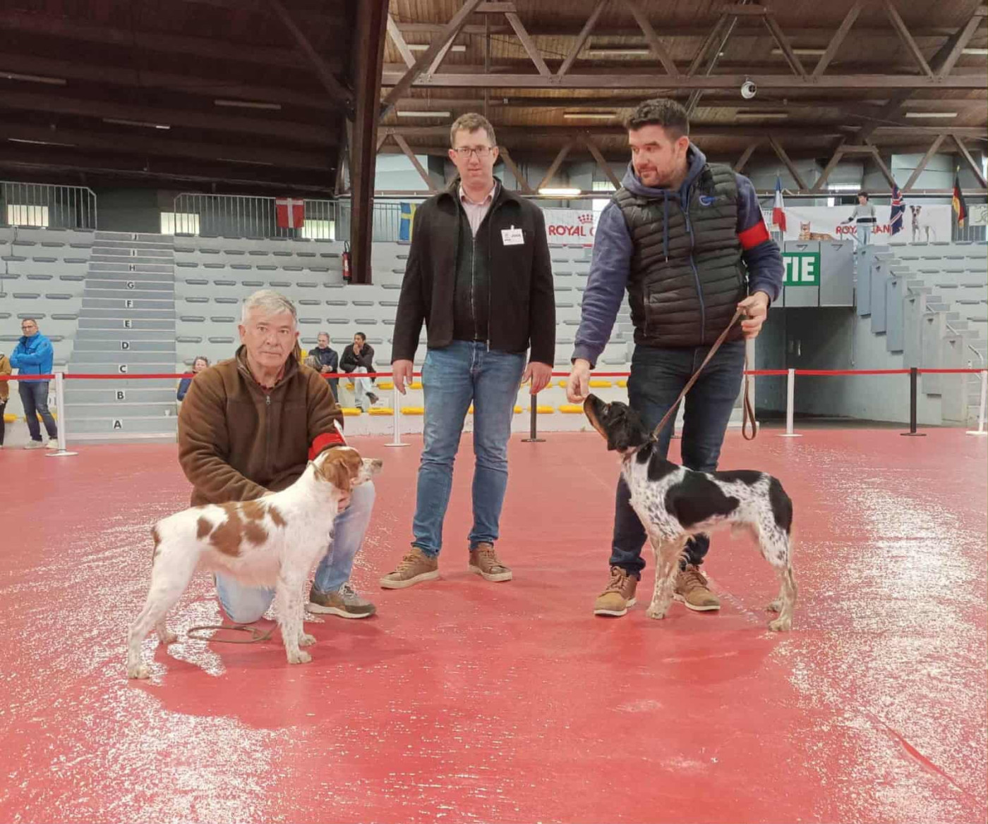 De la plaine marat - EXPOSITION Spéciale de Race à Poitiers le 18/10/25: CH.Tootsie de la Plaine Marat obtient le CACIB et Meilleure de Race...