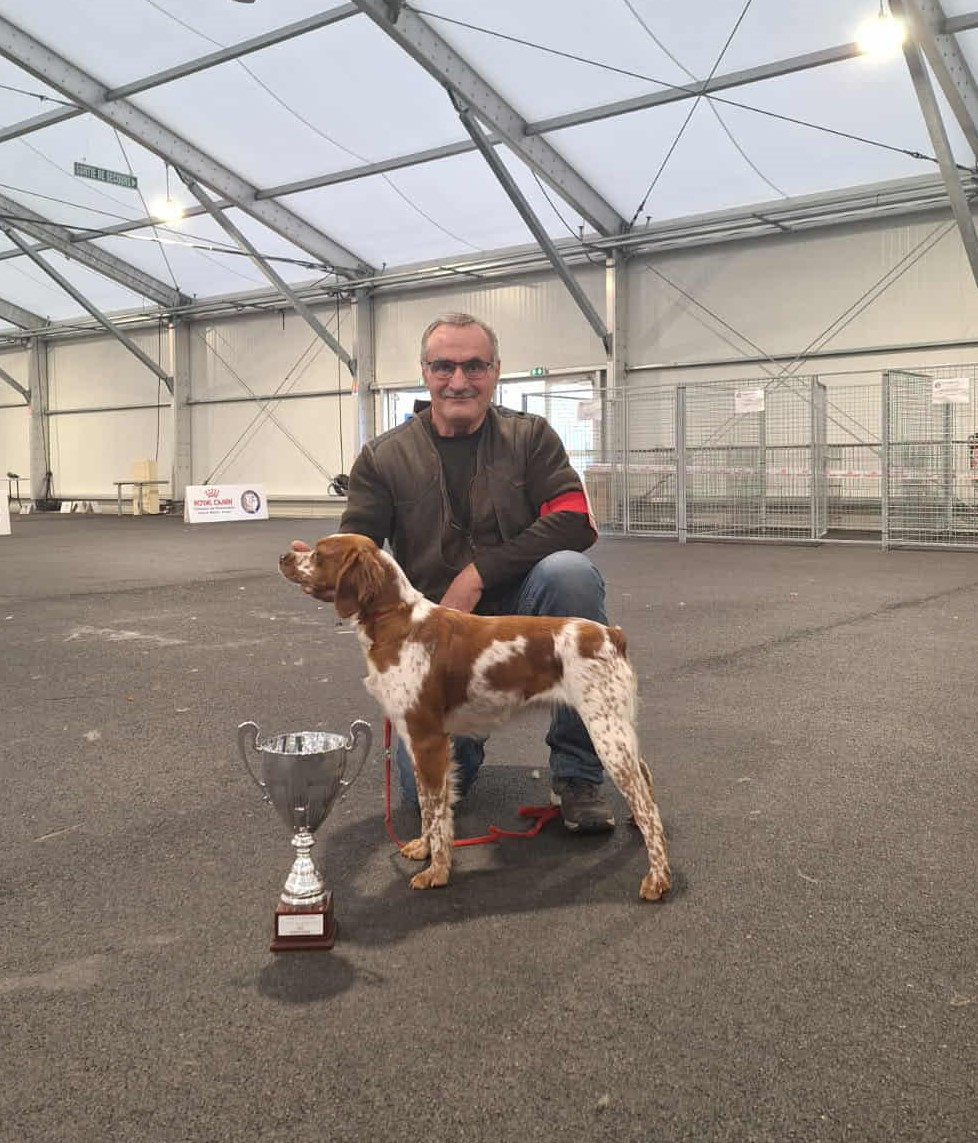 De la plaine marat - Ulya de la Plaine Marat obtient le CACS et Meilleure de Race à Angers.