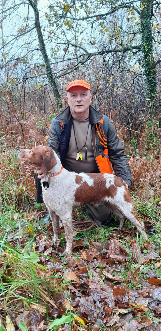 De la plaine marat - Hier, CH.Rocky de la Plaine Marat obtient un 2°EXC en couple sur bécasse...