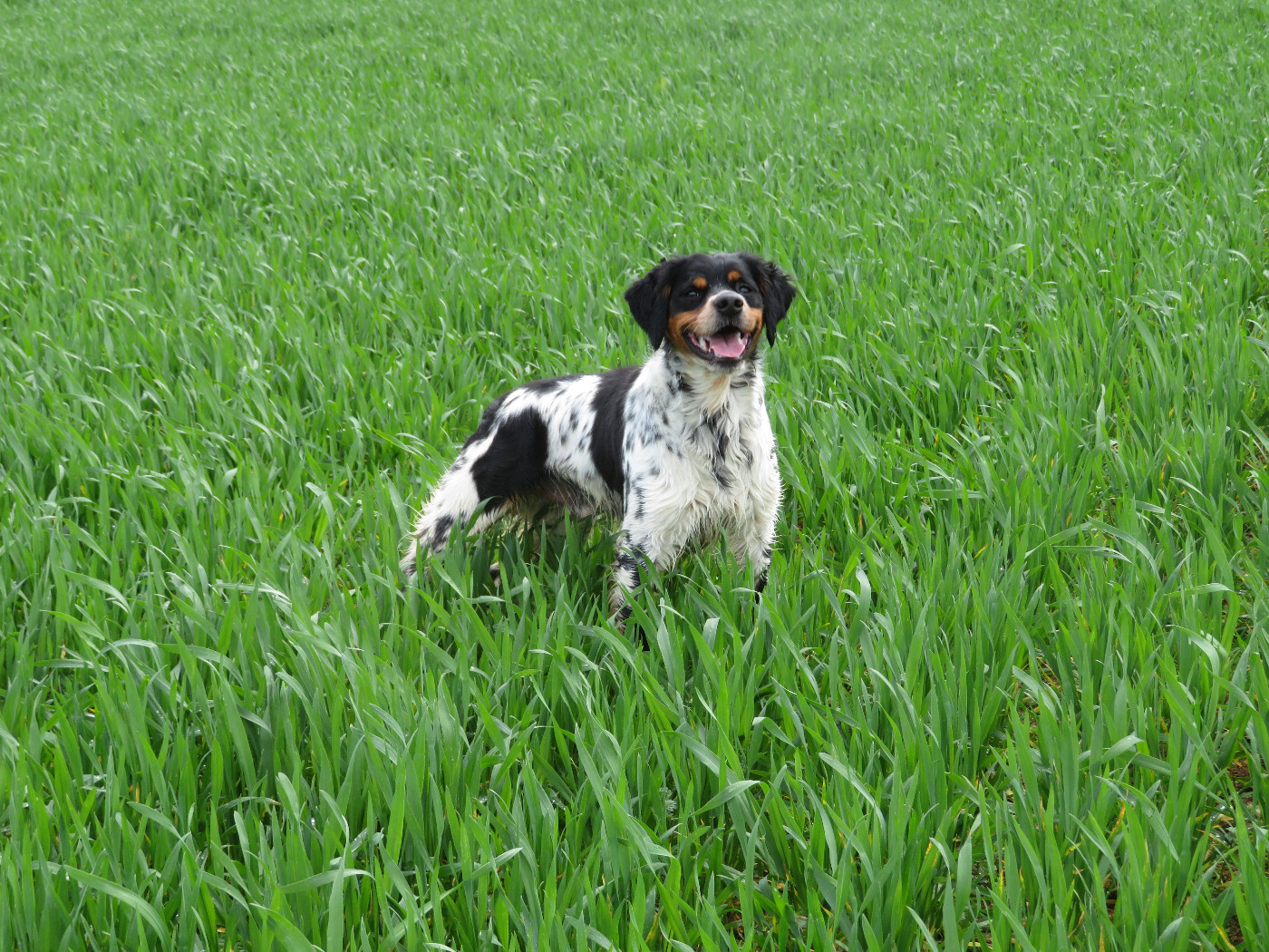 De la plaine marat - CH.Urok de la Plaine Marat...