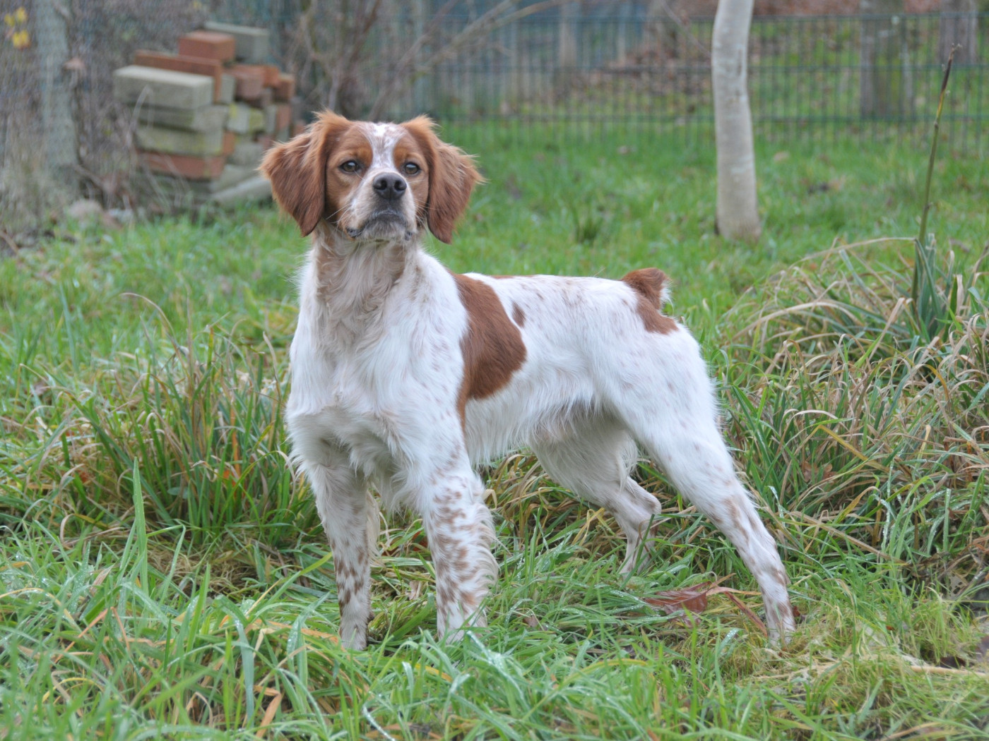 De la plaine marat - Vigo de la Plaine Marat