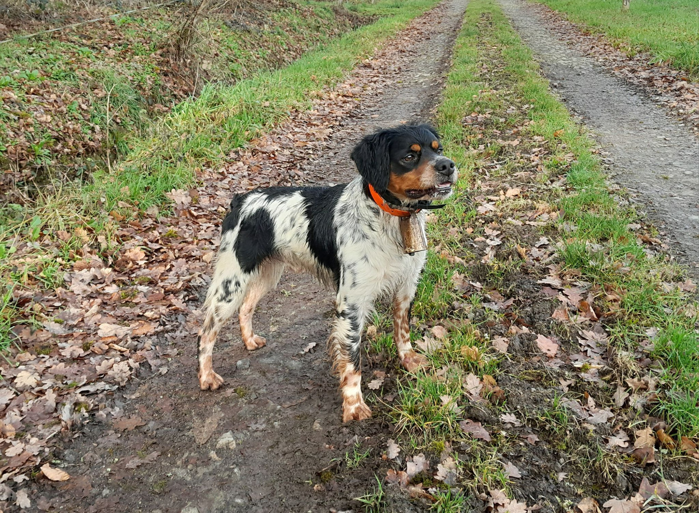 De la plaine marat - CH.Urok de la Plaine Marat...