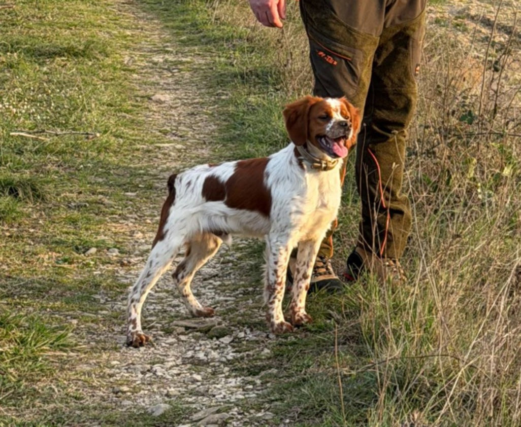 De la plaine marat - Aladin de la Plaine Marat