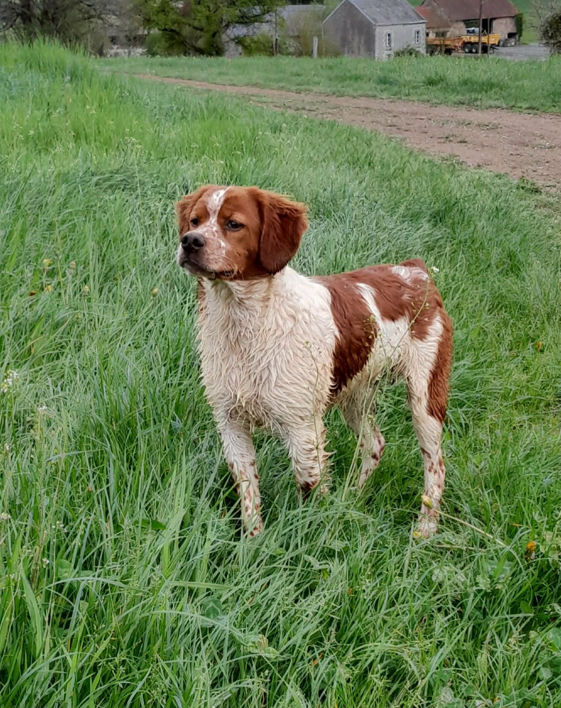 De la plaine marat - Auréo de la Plaine Marat