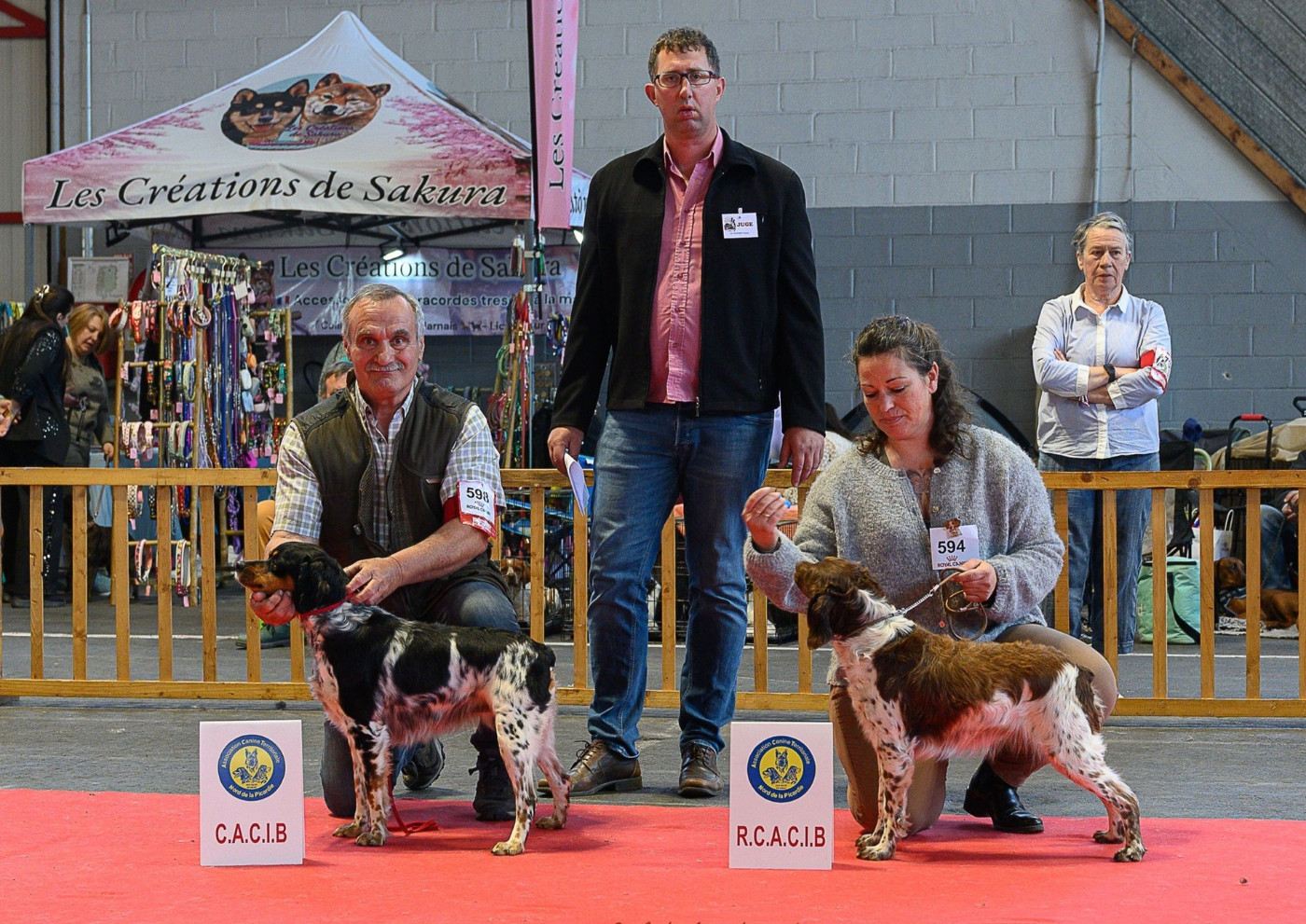 De la plaine marat - Vick de la Plaine Marat obtient le CACS/CACIB à Amiens.