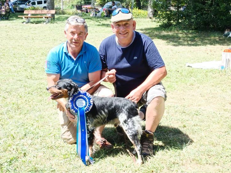 De la plaine marat - Orki de la Plaine Marat Champion CS homologué.